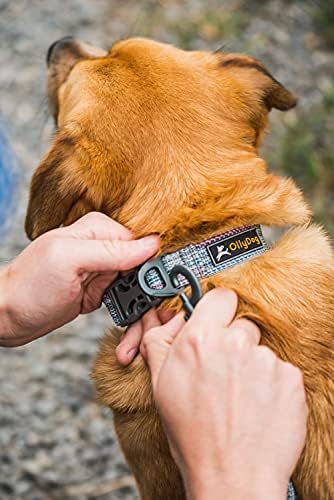 OllyDog Kurtarma Sağlam Tokalı Ayarlanabilir köpek Tasması, Büyük, Orta ve Küçük Köpekler için Hafif Eğitim Tasması