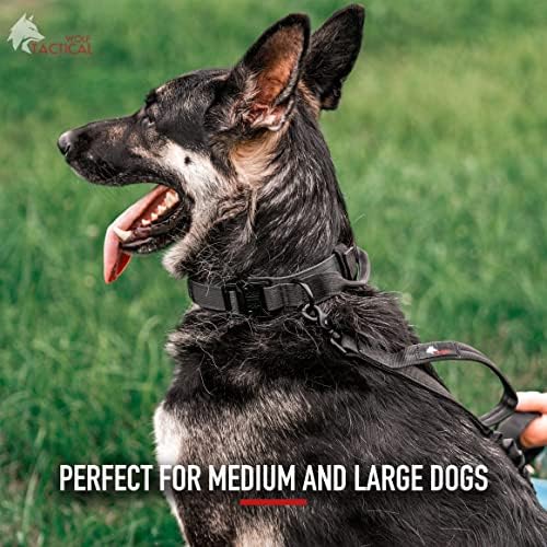 KURT TAKTİK köpek tasması Büyük Köpekler için Askeri Ağır köpek tasmaları Büyük Köpekler için Pitbull Yaka Alman Çoban