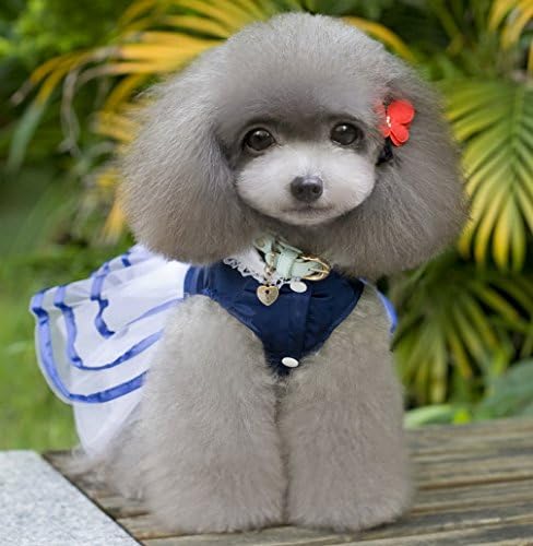 Ranphy Küçük Köpek Kedi Tutu Elbise Prenses Dantel Etek Yorkie Giysileri Kadın, Saten TieBlue, yaz Gömlek Donanma