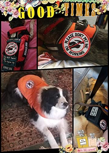 U-LIAN 4 Adet Köpek Pet Yama Beast Modu Sormak Pet ABD Bayrağı Köpek İzci Anne Diyor ben Özel Komik cırt cırt Yamalar