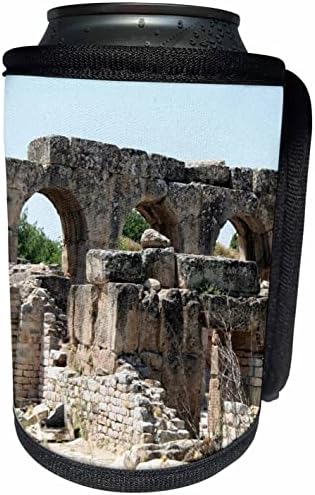 3dRose Hadrian Hamamları Aphrodisias Roma Arkeolojisi-Can Soğutucu Şişe Sargısı (cc-361248-1)
