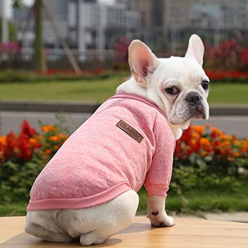 BELTBE Fransız Doodle Pug Köpek kedi evcil hayvan Giysileri Sonbahar ve Kış Yeni Kazak İki Ayaklı Giysi Malzemeleri