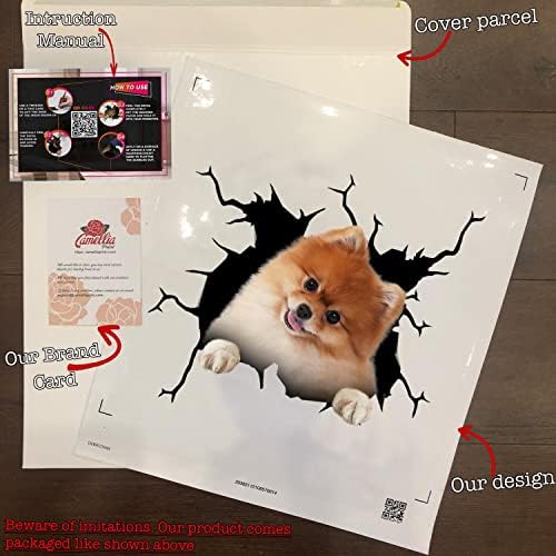 Pomeranian Etiketler Çıkartmaları Pomeranian Köpek Hediyeler Komik Uyarı Araba Sticker Yeni Sürücü 3D Kamyon Atickers